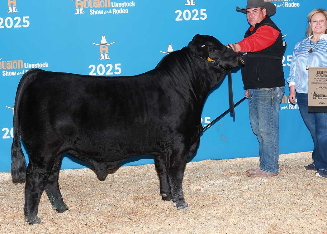 CCC GKB KILLIN TIME 924M