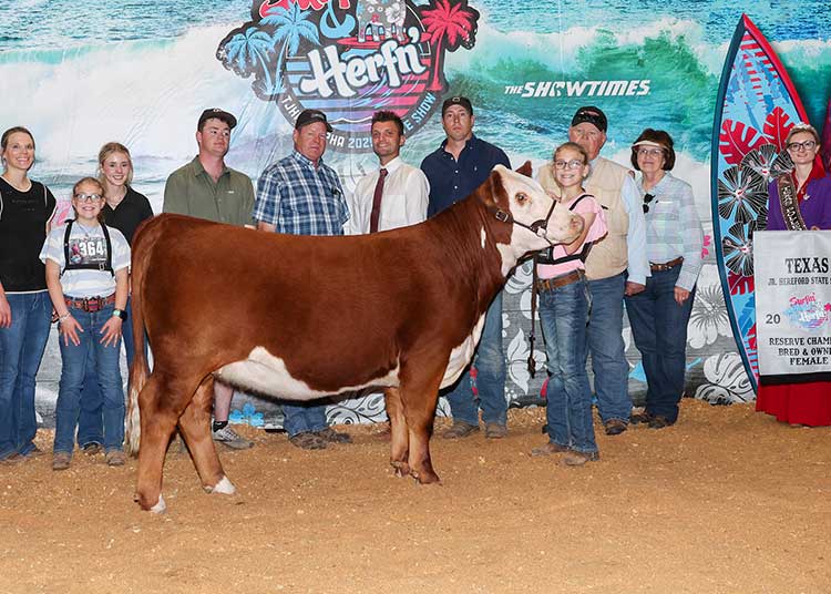 BR GKB SPARKS M177 ET