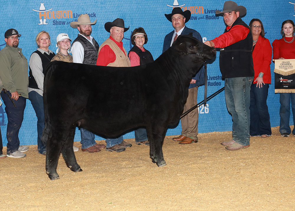 GKB STARSTRUCK 924N2