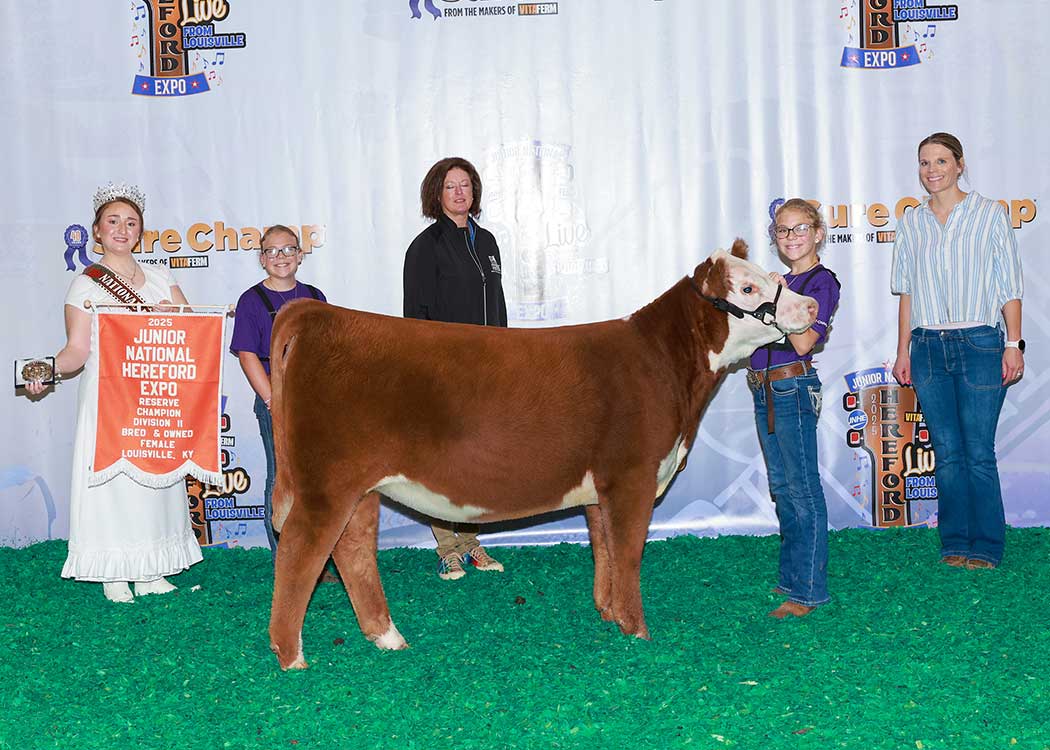 BR GKB SUPERNOVA 4328