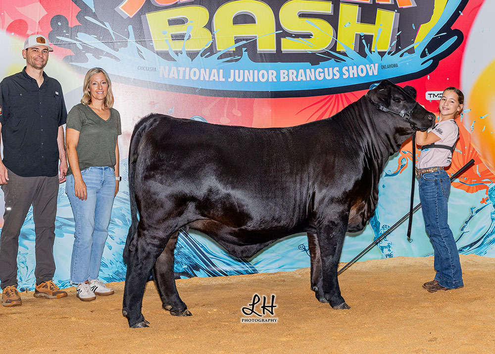 GKB MISS JESSICA 88N6