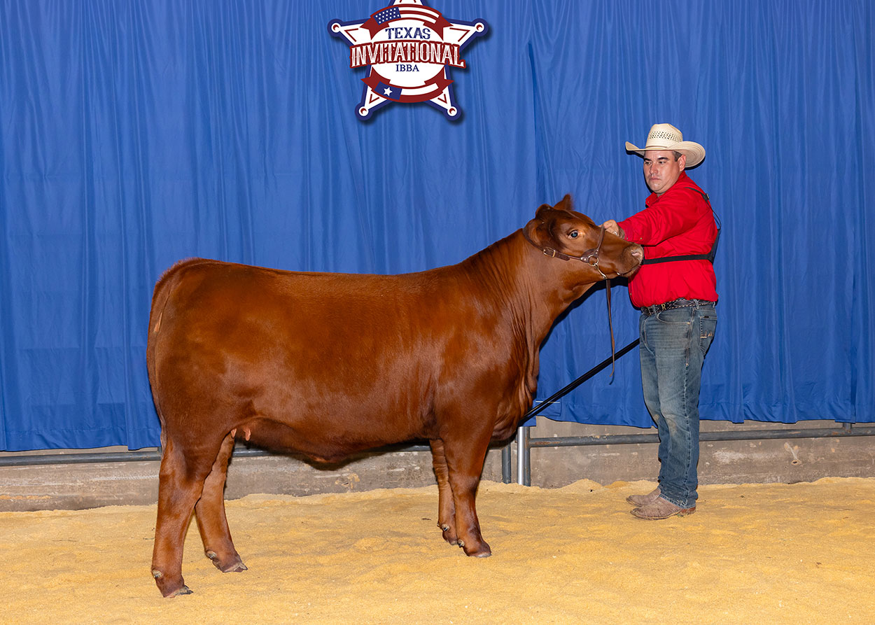 GKB AVERY 15N6