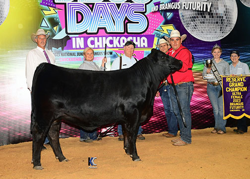 GKB MISS BELLA 118J