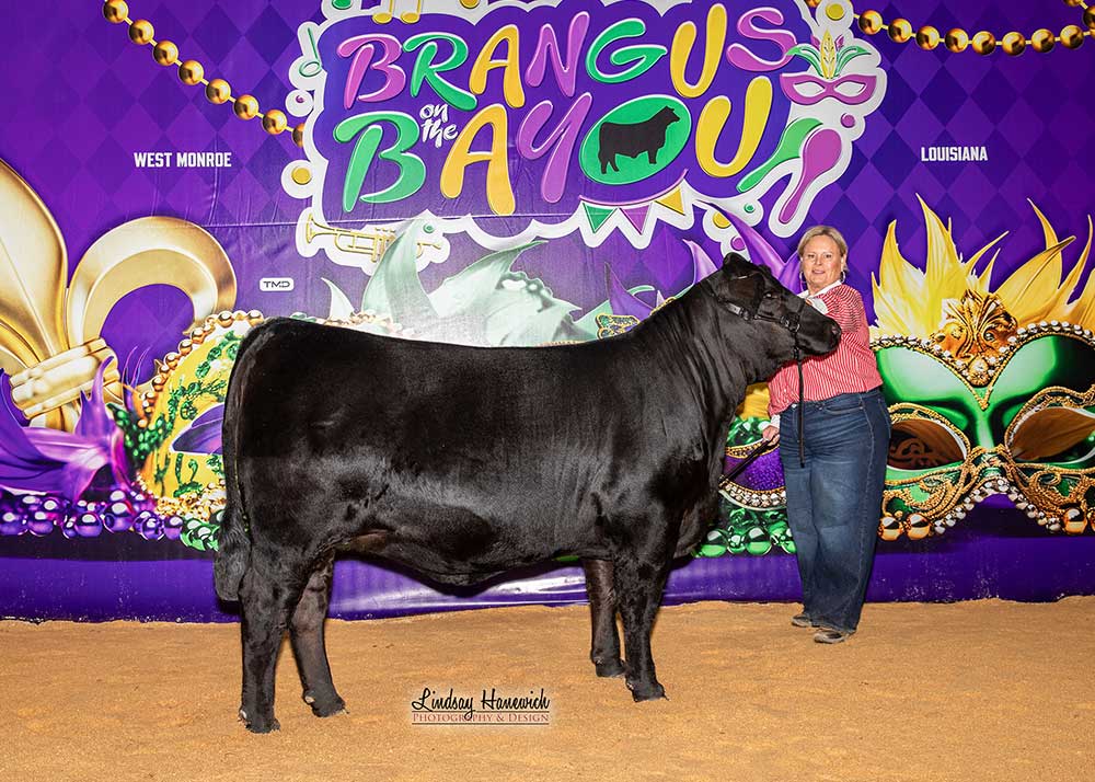 GKB KATHY JO 149L27