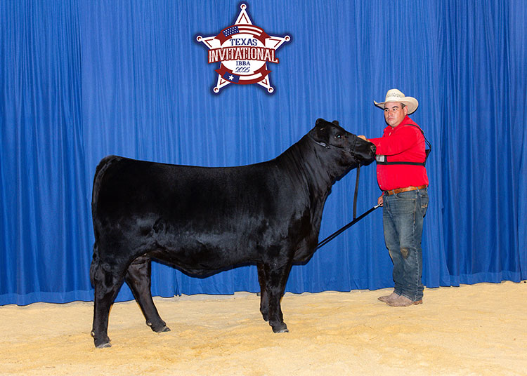 GKB KATHY JO 149L27